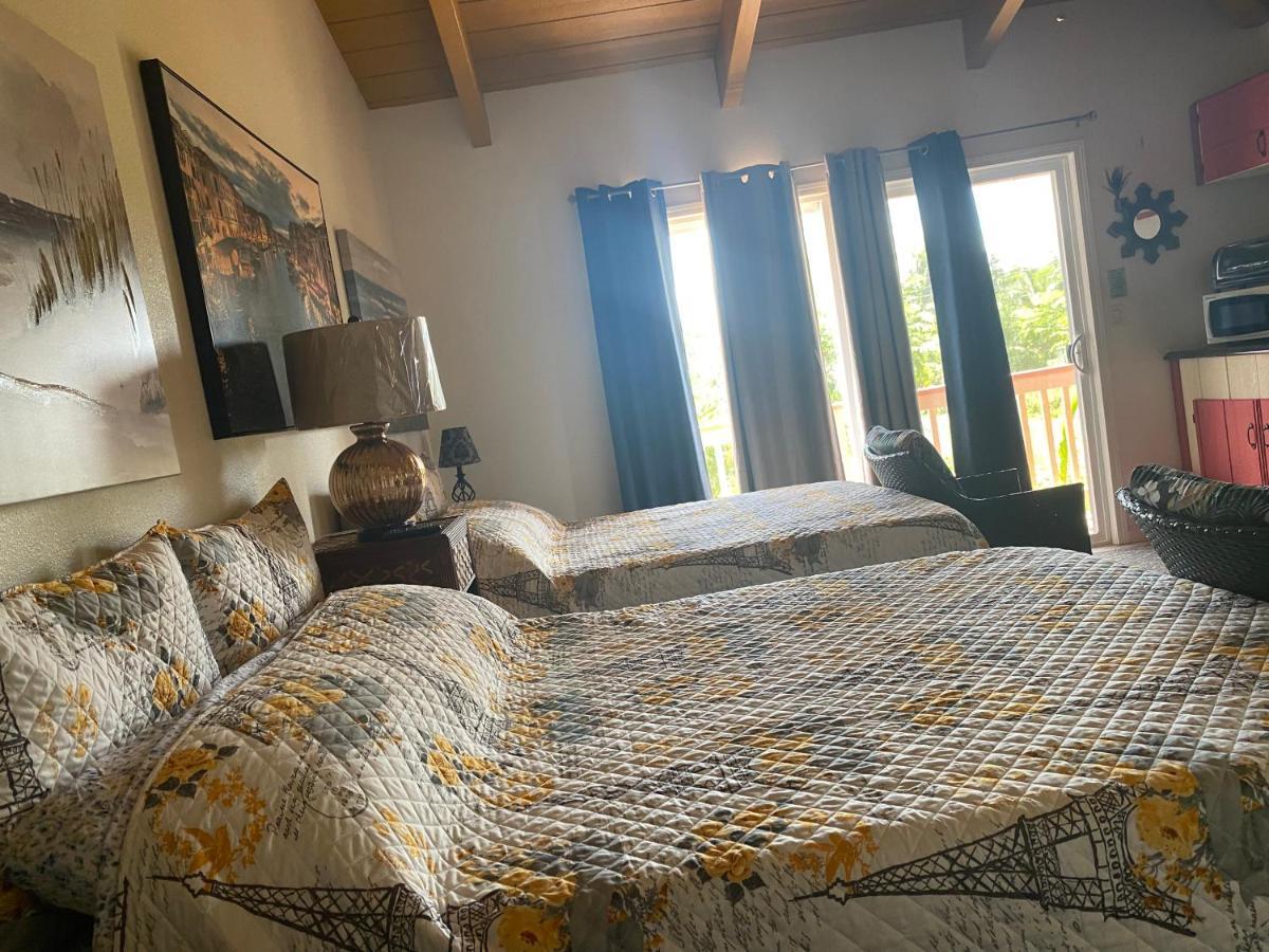 Nice Studio w/ AC near Kehena Beach&lava fields Exterior foto