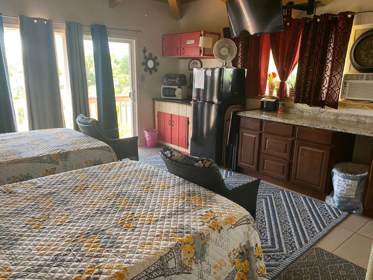 Nice Studio w/ AC near Kehena Beach&lava fields Exterior foto