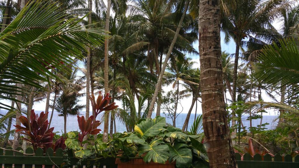 Nice Studio w/ AC near Kehena Beach&lava fields Zimmer foto